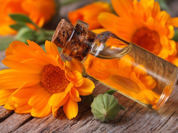 benefits of calendula oil in baby massage